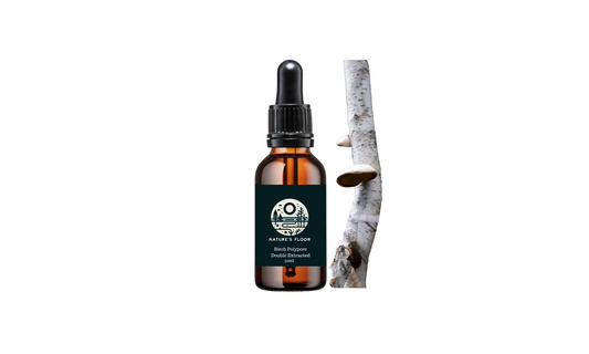 Double Extracted Birch Polypore Tincture