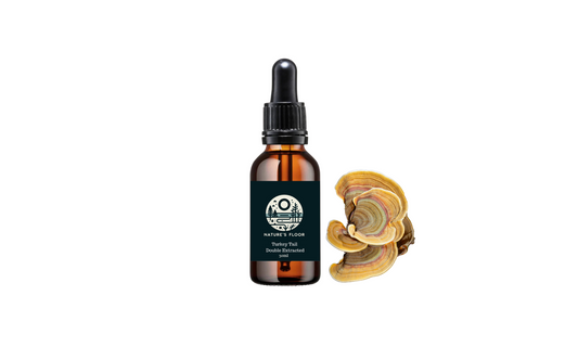 Double Extracted Turkey Tail Tincture
